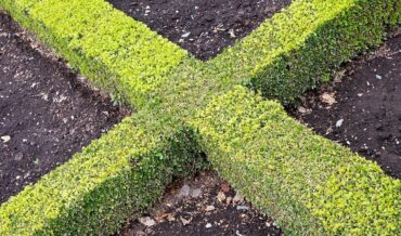 Cross Hedge